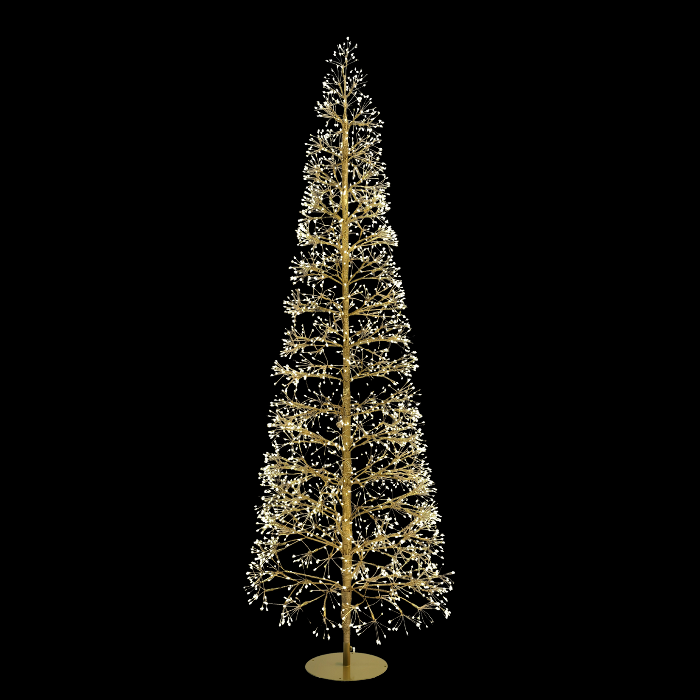 Tall, thin Christmas tree with white lights on a black background