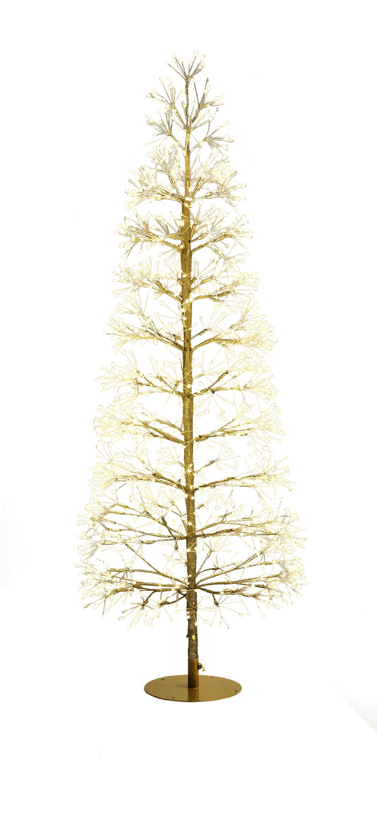 Gold Firecracker Tree
