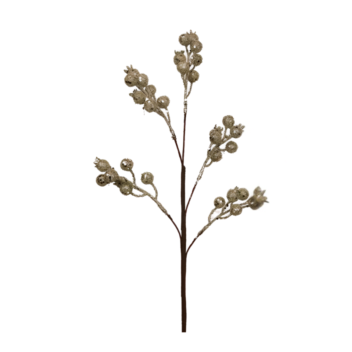 Champagne glitter berry pick with small textured berry clusters on slender branching stems