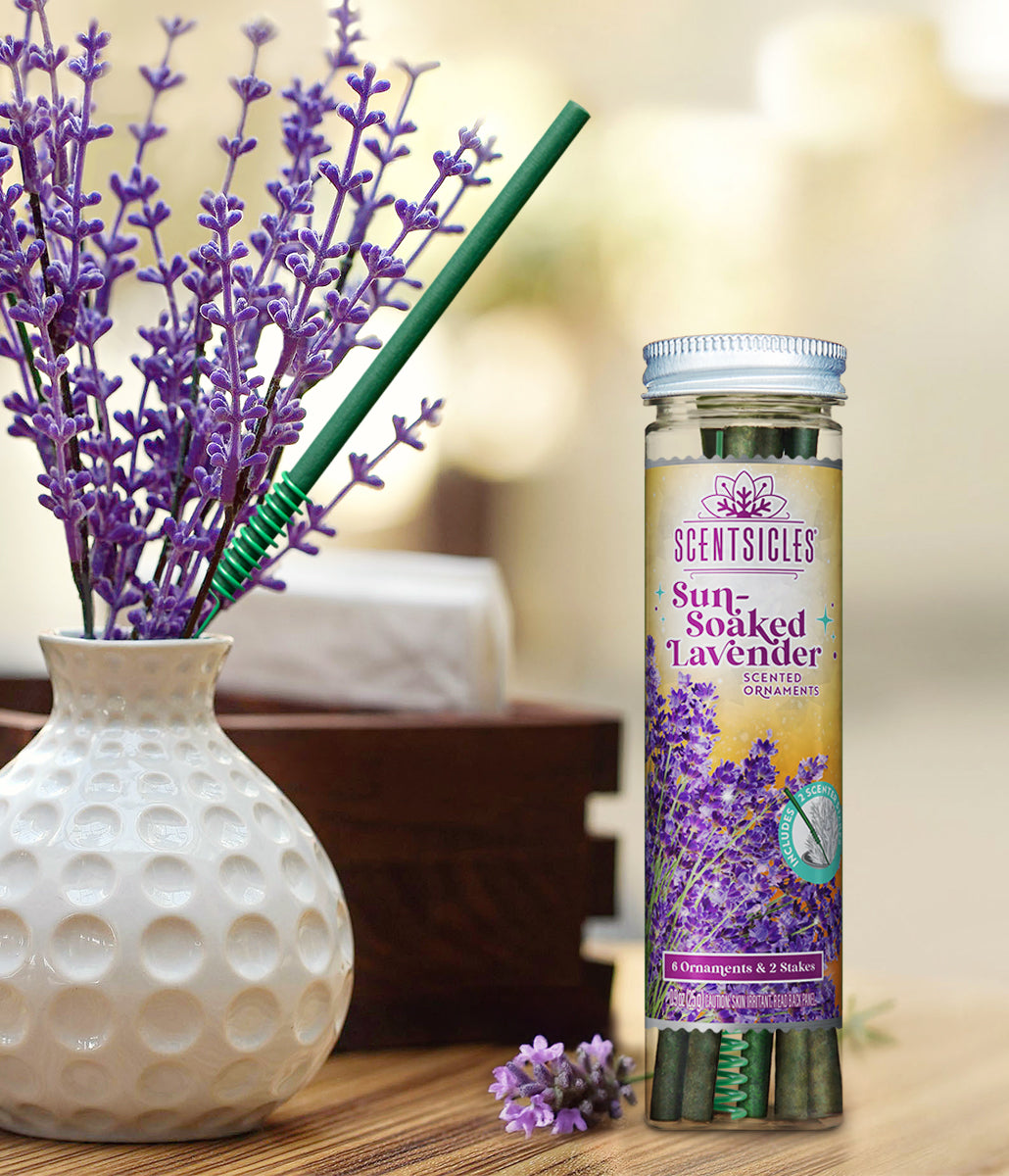 Scentsicles Sun-Soaked Lavender jar styled beside a vase of lavender stems