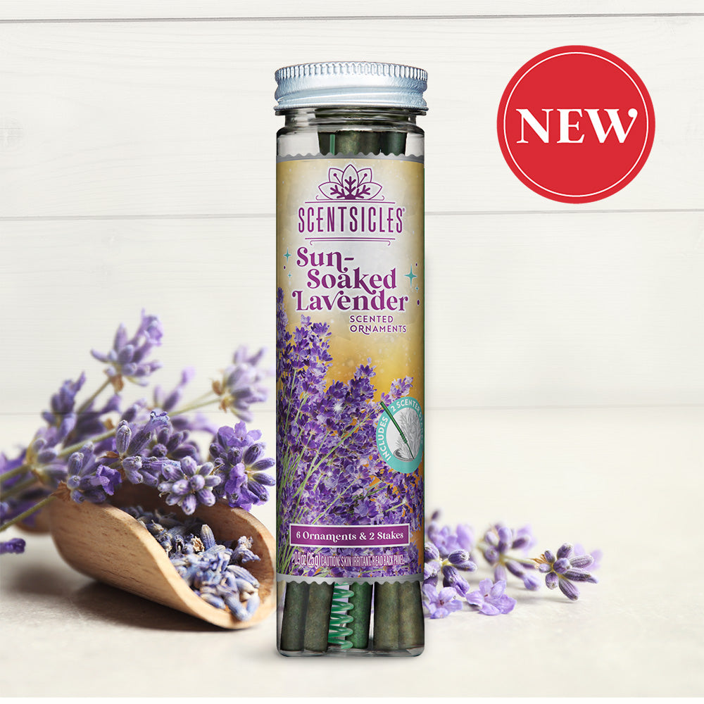 Scentsicles Sun-Soaked Lavender scented ornaments jar with fresh lavender